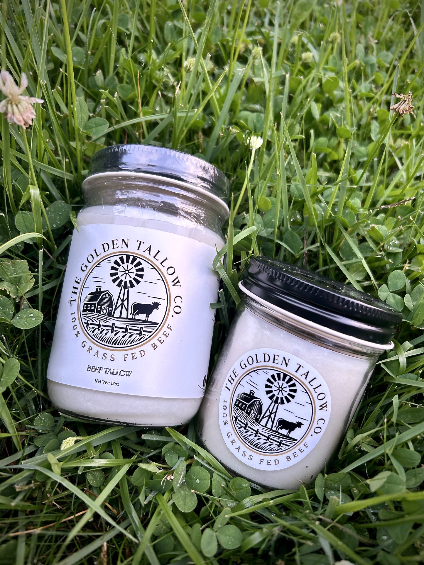 Grass Fed Beef Tallow (20oz)